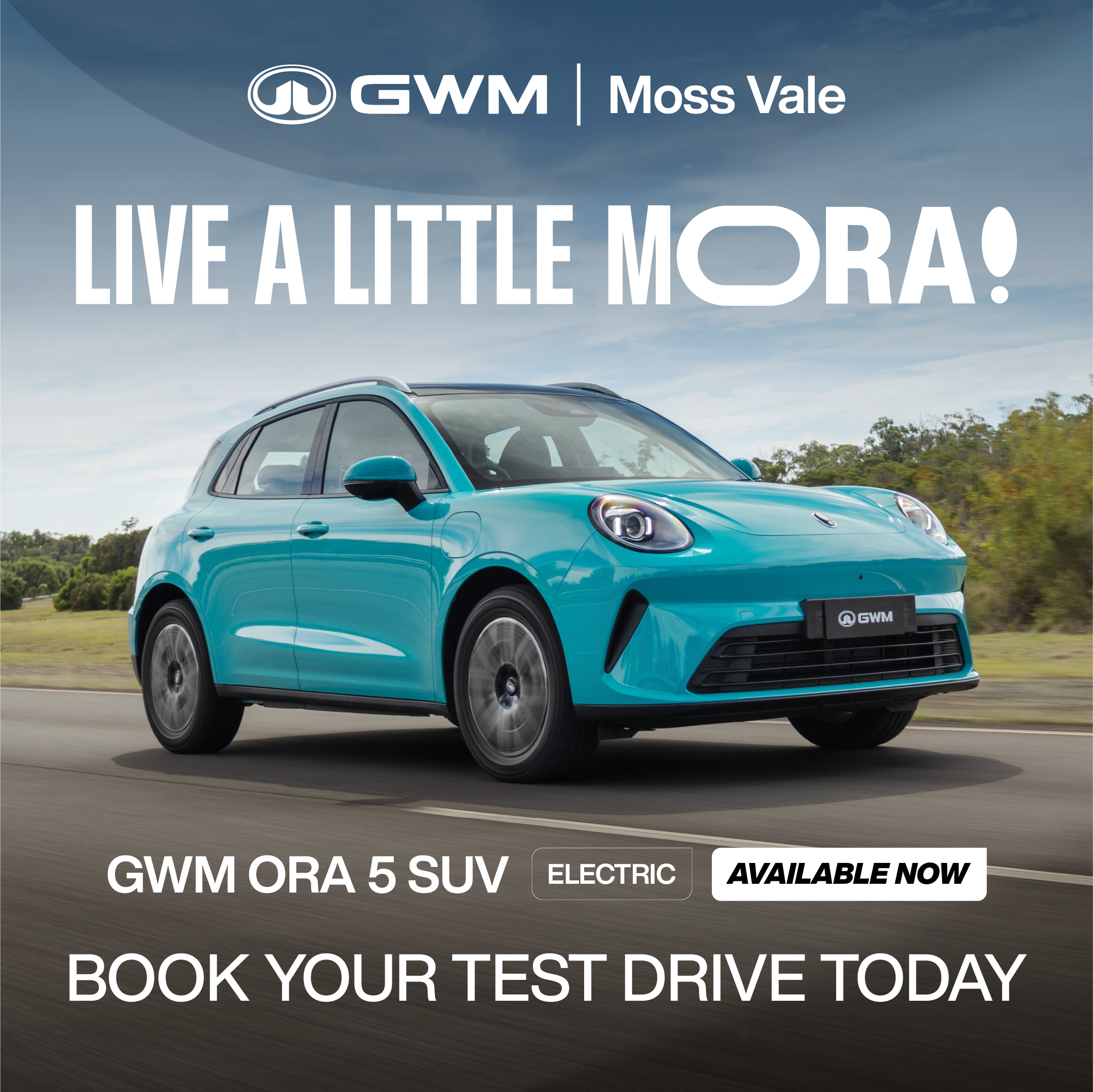 Moss Vale GWM